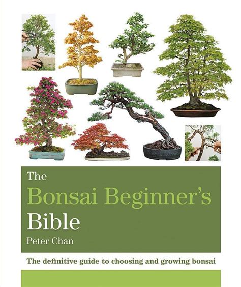 Full Download The Bonsai Beginners Bible By Peter Chan