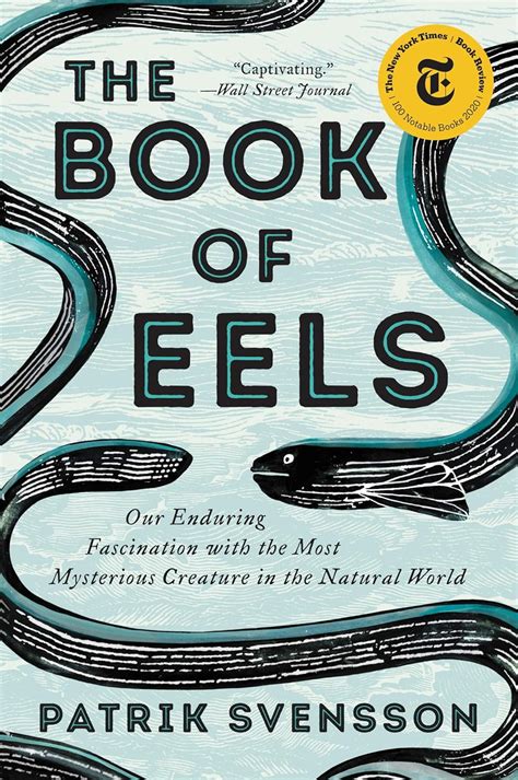 Download The Book Of Eels Our Enduring Fascination With The Most Mysterious Creature In The Natural World By Patrik Svensson