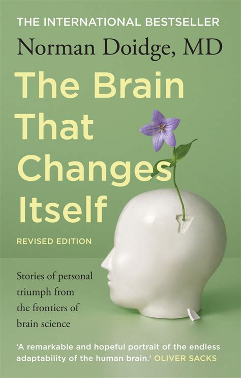 Download The Brain That Changes Itself Stories Of Personal Triumph From The Frontiers Of Brain Science By Norman Doidge