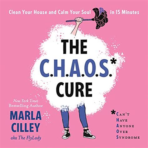 Download The Chaos Cure Clean Your House And Calm Your Soul In 15 Minutes By Marla Cilley