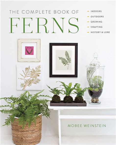 Read Online The Complete Book Of Ferns Indoors  Outdoors  Growing  Crafting  History  Lore By Mobee Weinstein