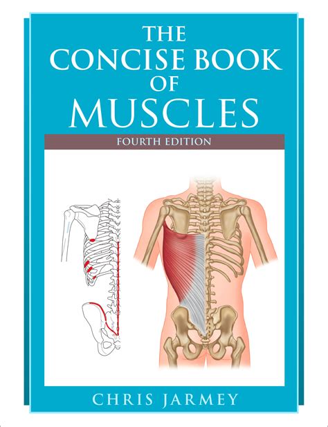 Download The Concise Book Of Muscles By Chris Jarmey