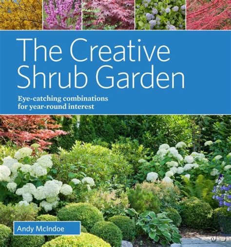 Download The Creative Shrub Garden Eyecatching Combinations For Yearround Interest By Andy Mcindoe