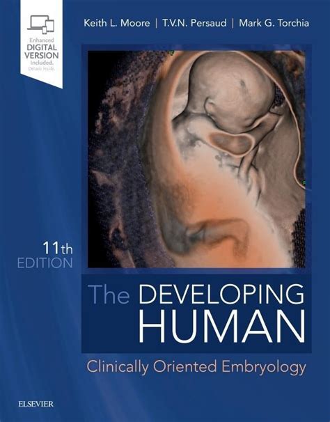 Download The Developing Human Clinically Oriented Embryology By Keith L Moore