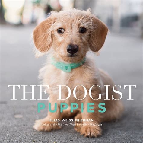 Read The Dogist Puppies By Elias Weiss Friedman