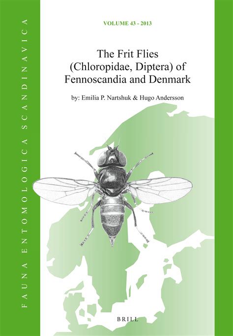 Full Download The Drosophilidae Diptera Of Fennoscandia Fauna Entomologica Scandinavica Fauna Entomologica Scandinavica By Carlos R Vilela