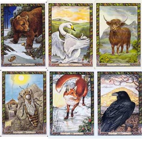 Read The Druid Animal Oracle Deck By Philip Carrgomm