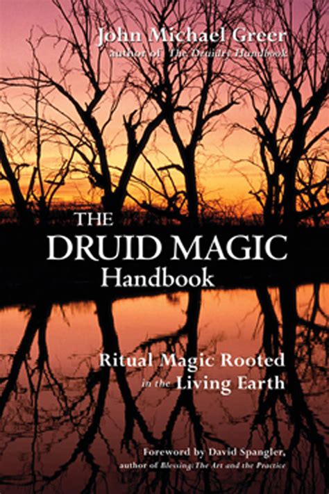 Read Online The Druid Magic Handbook Ritual Magic Rooted In The Living Earth By John Michael Greer