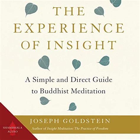Read The Experience Of Insight A Simple  Direct Guide To Buddhist Meditation Shambhala Dragon Editions By Joseph Goldstein