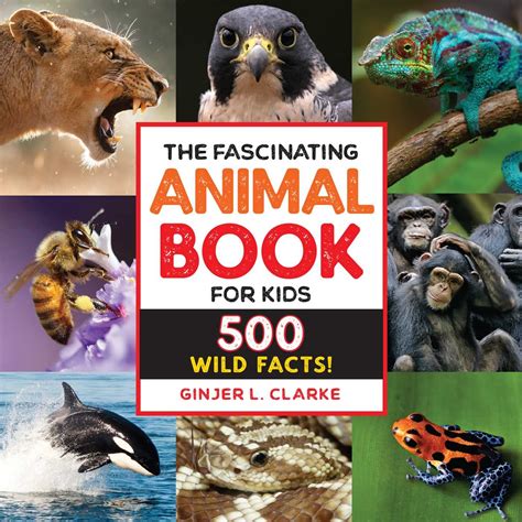 Read The Fascinating Animal Book For Kids 500 Wild Facts By Ginjer Clarke