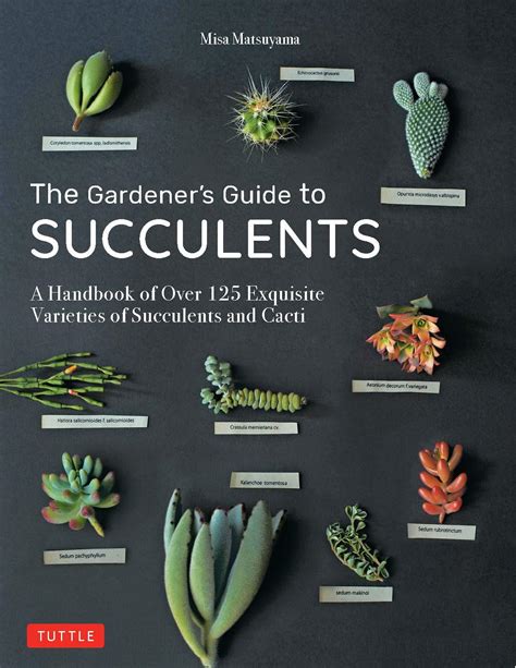 Full Download The Gardeners Guide To Succulents A Handbook Of Over 125 Exquisite Varieties Of Succulents And Cacti By Misa Matsuyama