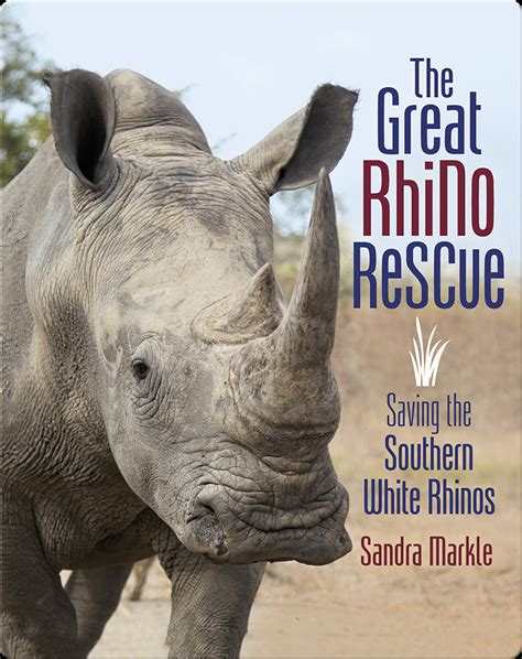 Read Online The Great Rhino Rescue The Great Rhino Rescue Saving The Southern White Rhinos Saving The Southern White Rhinos By Sandra Markle