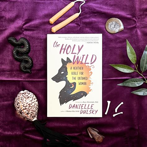 Full Download The Holy Wild By Danielle Dulsky