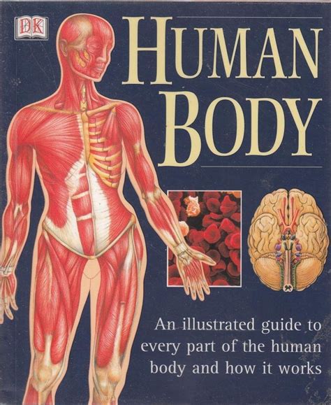 Read The Human Body By Ann Baggaley