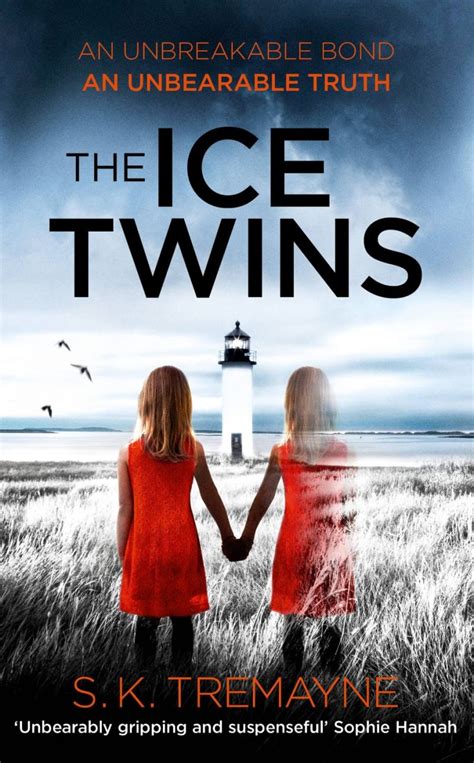 Read The Ice Twins By Sk Tremayne
