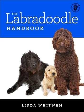 Read Online The Labradoodle Handbook By Linda Whitwam