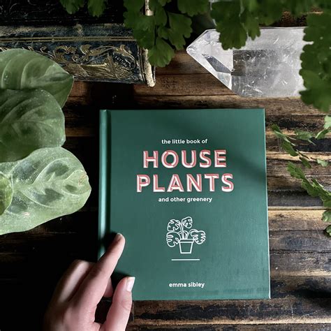 Download The Little Book Of House Plants And Other Greenery By Emma Sibley