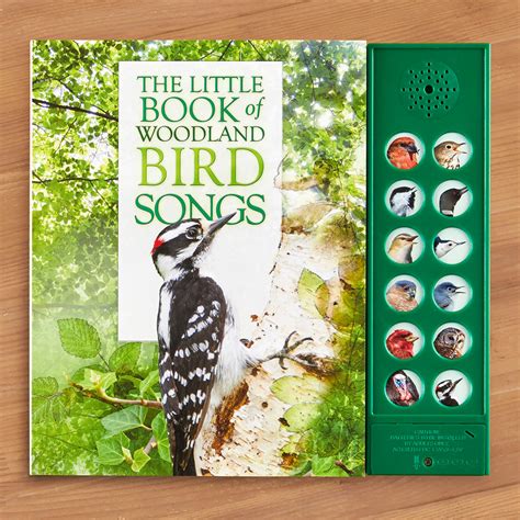Read Online The Little Book Of Woodland Bird Songs By Andrea Pinnington