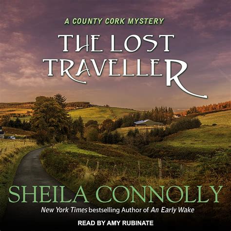 Download The Lost Traveller County Cork 7 By Sheila Connolly