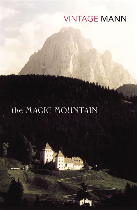 Full Download The Magic Mountain By Thomas Mann