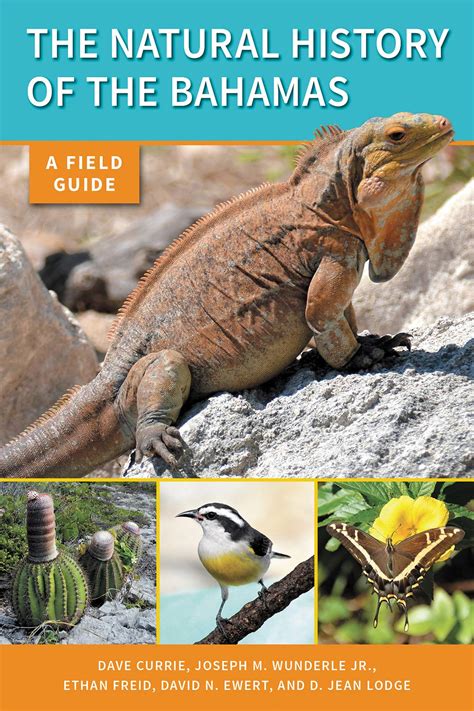 Read Online The Natural History Of The Bahamas A Field Guide By Dave Currie