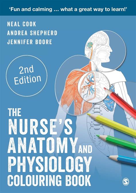 Full Download The Nurses Anatomy And Physiology Colouring Book By Jennifer Boore