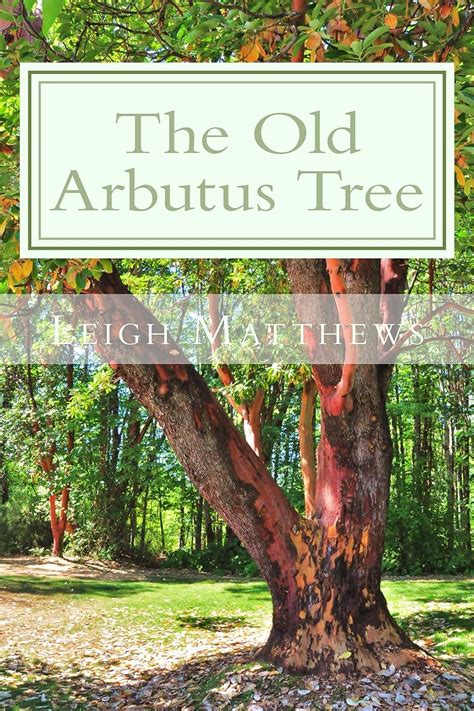Read Online The Old Arbutus Tree By Leigh  Matthews