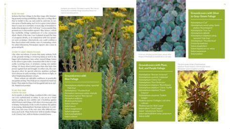 Download The Plant Lovers Guide To Sedums By Brent Horvath