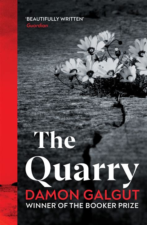 Read The Quarry By Damon Galgut