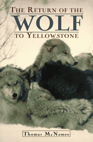 Download The Return Of The Wolf To Yellowstone By Thomas Mcnamee