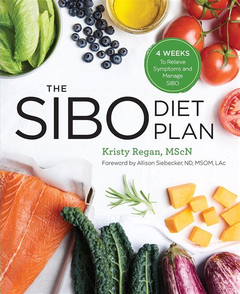 Read Online The Sibo Diet Plan Four Weeks To Relieve Symptoms And Manage Sibo By Kristy Regan Mscn