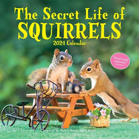Full Download The Secret Life Of Squirrels Wall Calendar 2021 By Workman Calendars