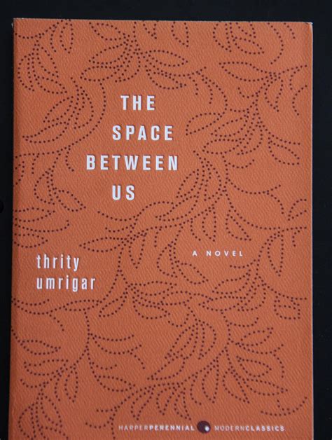 Download The Space Between Us By Thrity Umrigar