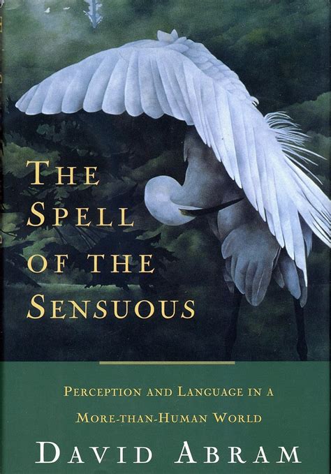 Download The Spell Of The Sensuous Perception And Language In A Morethanhuman World By David Abram