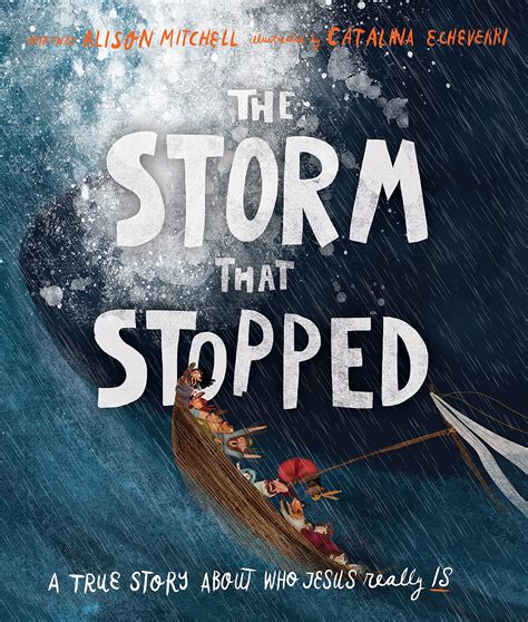 Read Online The Storm That Stopped By Alison  Mitchell