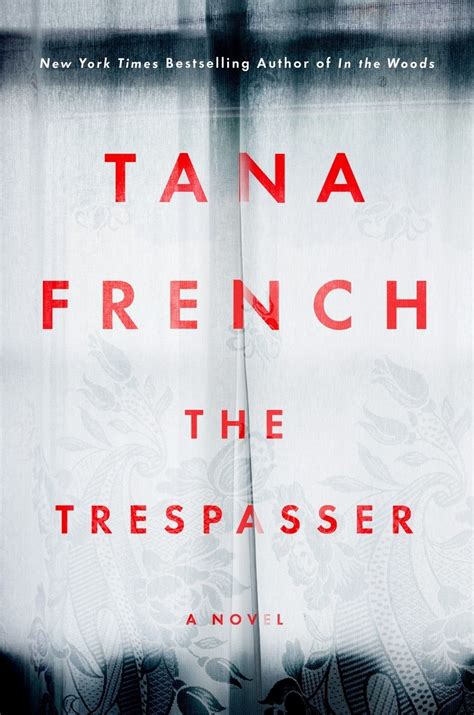 Read Online The Trespasser Dublin Murder Squad 6 By Tana French