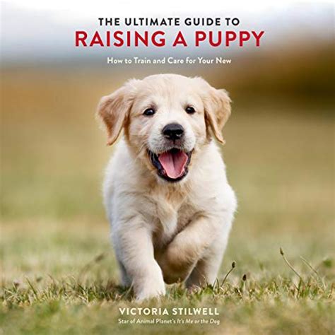 Download The Ultimate Guide To Raising A Puppy How To Train And Care For Your New Dog By Victoria Stilwell