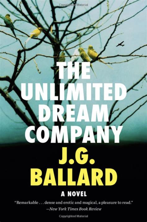 Read Online The Unlimited Dream Company By Jg Ballard