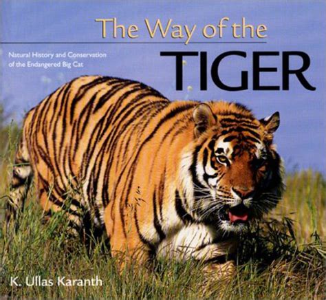 Download The Way Of The Tiger Natural History And Conservation Of The Endangered Big Cat By K Ullas Karanth