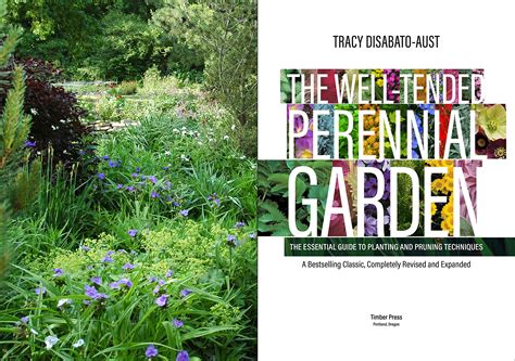 Full Download The Welltended Perennial Garden The Essential Guide To Planting And Pruning Techniques Third Edition By Tracy Disabatoaust