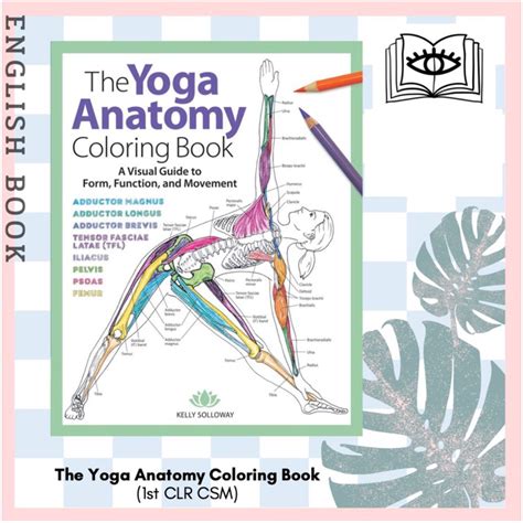 Read Online The Yoga Anatomy Coloring Book A Visual Guide To Form Function And Movement By Kelly Solloway