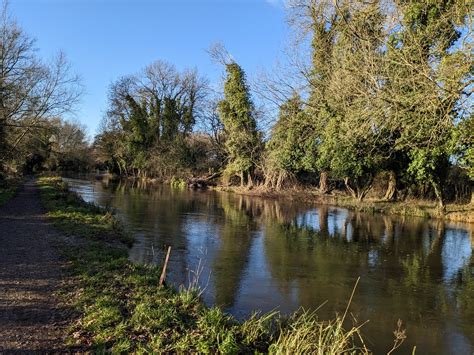 Theale to Burghfield Bridge - Walk - Visorando