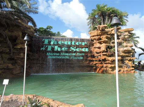 Theater of the sea. Theater of the Sea, Islamorada, Florida. 32,671 likes · 454 talking about this · 59,144 were here. Home to dolphins, sea lions, sea turtles, sharks, rays, gators ... 