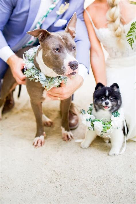 🔥 Thebeachypeach Leaked +18 78 Videos