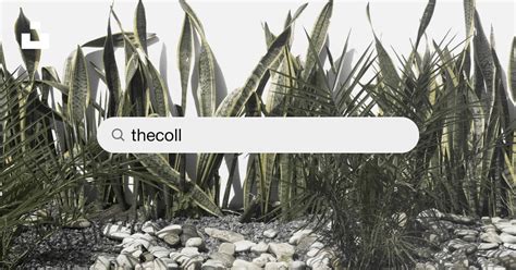 Thecoll Onlyfans Leak