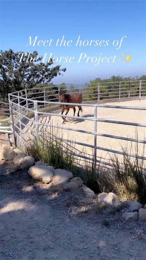 💋 [CLIP] Thehorseproject Leaked