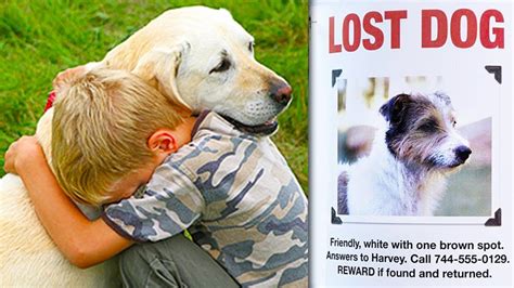 Their dog was missing for 5 years. Then they got a phone call