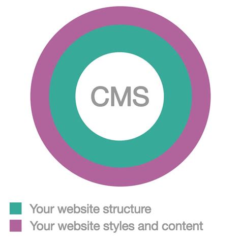 Theme Tutorial Odoo 15 0 Documentation