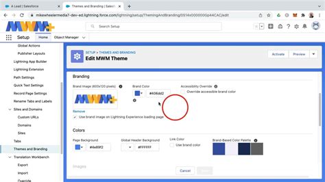 Themes and Branding in Salesforce How to Upload a Custom Logo in