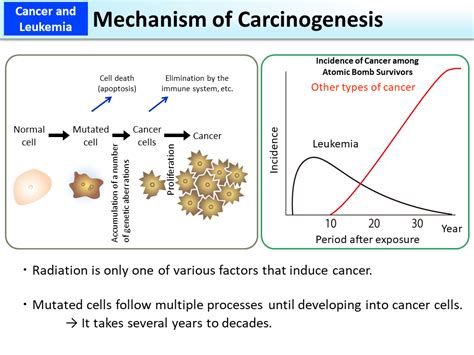 Theories of Carcinogenesis: Assessing the Carcinogenic Potential …